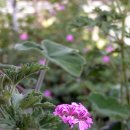 김양식농장 이미지