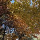 여성합창단 정오콘서트1 | 251107 아주여성합창단 &amp; 아주남성합창단 정기연주회 &lt;어둠 저 너머 별을 노래하리&gt;_성남아트센터 콘서트홀