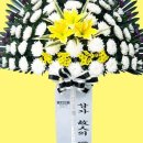 중앙U병원 이미지