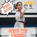옥빛 태권도장 이미지