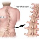 진주체력전문센터