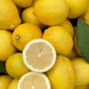 하늘이네 농장 이미지