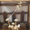 대원보건진료소 이미지