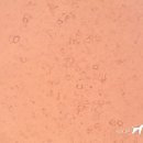 24시 대전동물의료센터 이미지