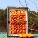 이병철농장 이미지