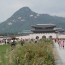 임대원 Daum카페