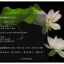 ＜시서문학 21호＞ 正近邪遠(정근사원) 孤松/이기은 이미지