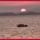 법무공인중개사사무소 이미지