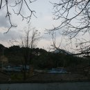 매동둘레길 입구 이미지