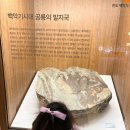 안산어촌민속박물관 | [대부도 여행] 대부도 아이와 가볼만한 곳, 공룡 화석과 수족관이 있는 '안산어촌민속박물관'
