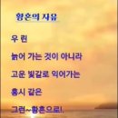 황혼 이미지