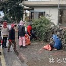 제주감귤농업협동조합위미지점 이미지