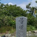 장성중앙초등학교 이미지