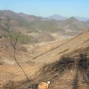 신흥푸른축산 이미지