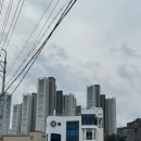 송강애견 이미지