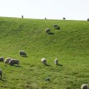 하이목장 이미지