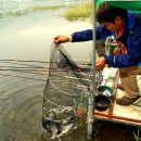 가산낚시터 이미지