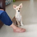 나리안길아파트 | 거창 나리안길 지엔지아파트 앞 GS25 쉼터 딱 좋다