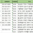 차이카렌트카 이미지
