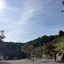 물새롬랜드오토캠핑장 | 가평오토캠핑장 가평랜드 명당A사이트 내돈내산 솔직후기