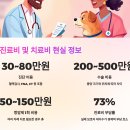 담은동물병원 | 🐾 반려동물 암 진단부터 치료까지｜실제 보호자들의 리얼 후기 정리
