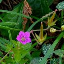 대청호풍경민박 이미지