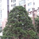 호상농장 이미지