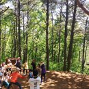 율곡수목원(3) 이미지