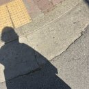 춤추는머리카락 네이버블로그