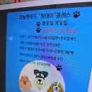 미뇽펫푸드 | 반려동물 수제간식 원데클래스