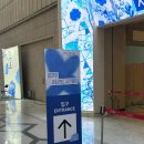 빠리A뽑기방 | 2026 서울리빙디자인페어 첫날 다녀온 후기 구매템 부스, 동선 추천