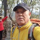 봉서산약수 이미지