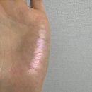 핑크환타스틱