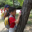 금란초병설유치원 이미지