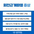 팔마장