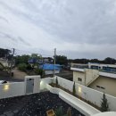 나잇플라잇 이미지