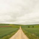 아빠의 정원 이미지