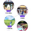 바시투어 이미지