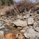 앤드퍼피 이미지