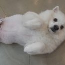 양덕동275 이미지