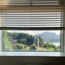 스테이인 호텔 봄 이미지