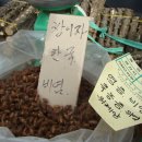 전곡-19 이미지