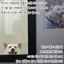 동이스토리