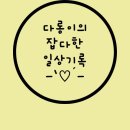 사계월 이미지