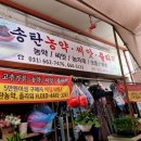 송탄농약플라워 네이버블로그