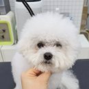 MUNG MOO 네이버블로그