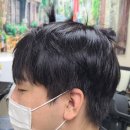 홀맨즈헤어