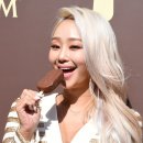 파이브센트