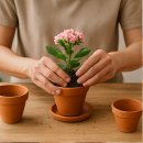 향산중학교 이미지