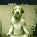 법인도란도란 이미지